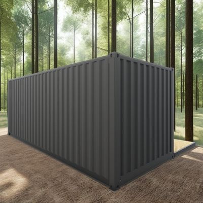 Log 20ft Eco-friendly Flat Pack Container House Prefabricado Construcción sostenible Estructura de acero Resiliente a la lluvia Viento Tienda de nieve