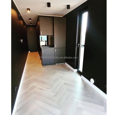 Aluminio de aleación Ventanas de 40 pies Contenedor Renovación para familia en el jardín dormitorio residencial sala de estar baño
