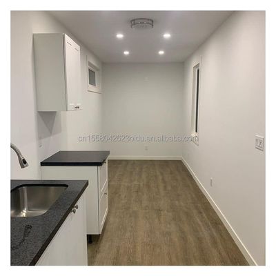 Color personalizado y estilo de diseño moderno para contenedores modernos de 40 pies en alta demanda