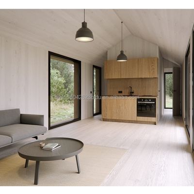 20 pies hogar móvil jardín estudio prefabricado de acero personalizable contenedor de la casa con pared 50/75/100mm onda panel de sándwich