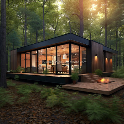Tienda de estructura de acero familiar de 20 pies/40 pies EU Lujo de diseño moderno Casa prefabricada con cocina baño Un dormitorio